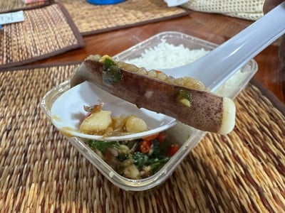 กะเพราทะเล