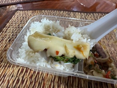 กะเพราทะเล