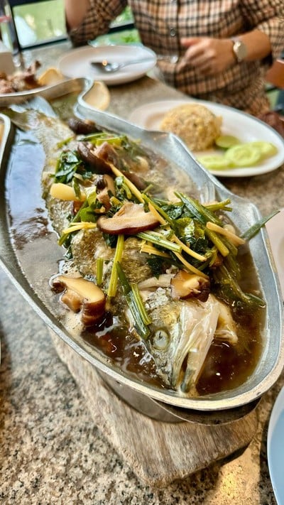 ปลากะพงนึ่งซีอิ้ว