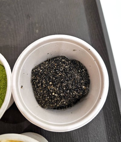 Black Sesame Warabimochi