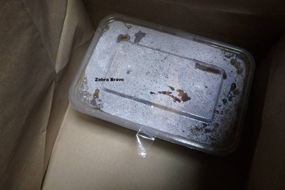 หมูฮ้องคอลลาเจน