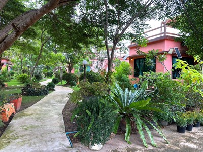 บริเวณโดยรอบ