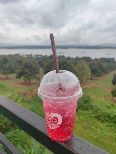 แดงโซดา