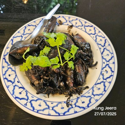 หมึกผัดน้ำดำ