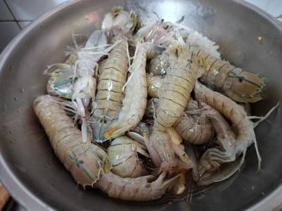 กุ้งกั้งดอง น้ำปลา กุ้งกั้งดอง น้ำปลา