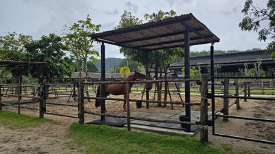 NIRAN FARM PHUKET