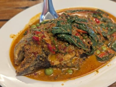 ฉู่ฉี่ปลาหมอ