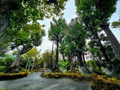 บรรยากาศ