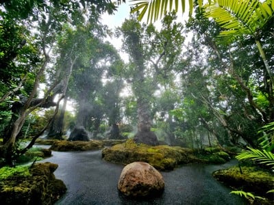 บรรยากาศ