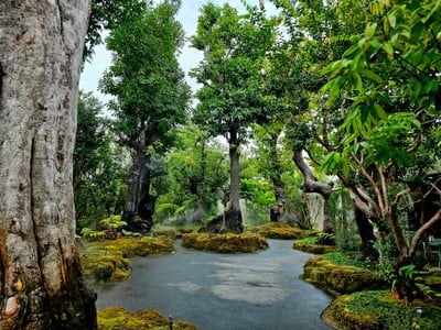 บรรยากาศ