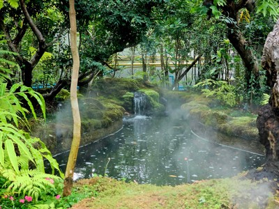 บรรยากาศ