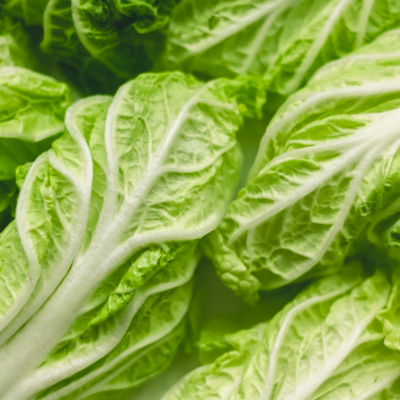 MENU_3376672es_1755488409