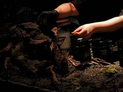 อาหาร หรือ เครื่องดื่ม