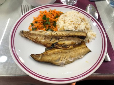 ปลาย่าง