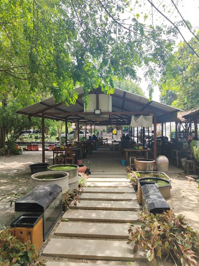 บรรยากาศ