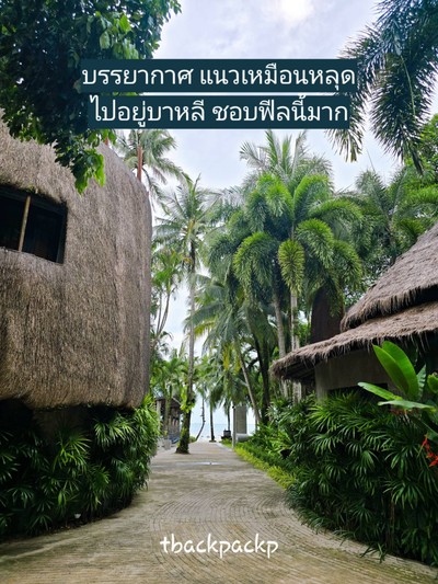 บริเวณโดยรอบ