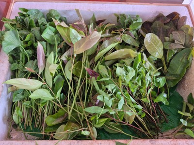 อาหาร หรือ เครื่องดื่ม