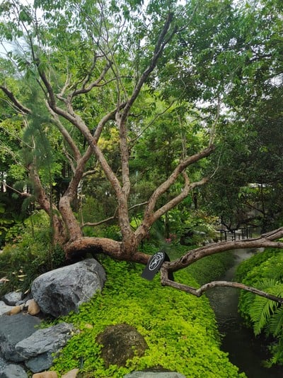 หน้าร้าน