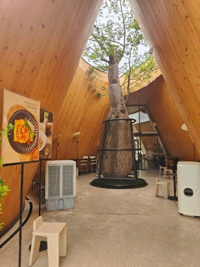 บรรยากาศ