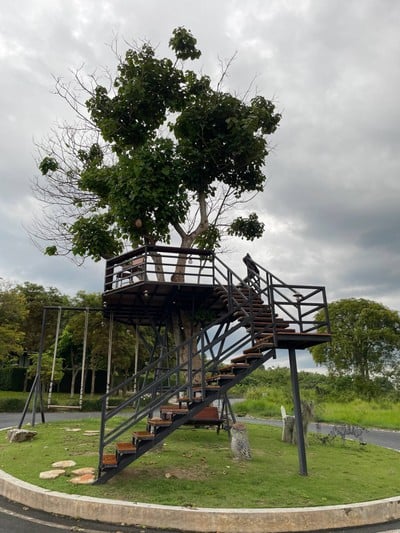 บริเวณโดยรอบ