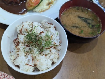 ข้าวใส่ปลาแห้งกับใบชิโสะ