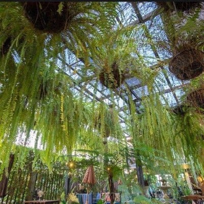 Fernpresso Cafe ใกล้สนามบินเชียงใหม่