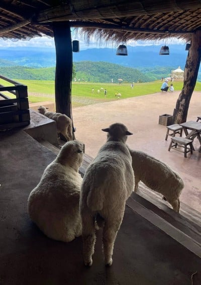 บรรยากาศ