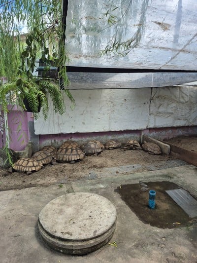 บรรยากาศ