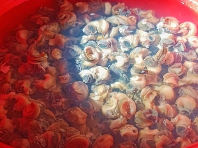 วิธีทำ แกงคั่วหอยขม