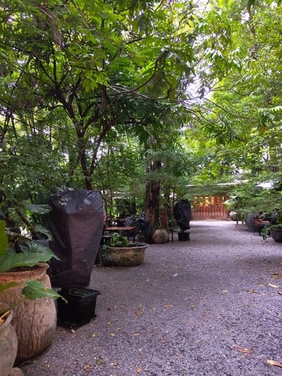 บรรยากาศ