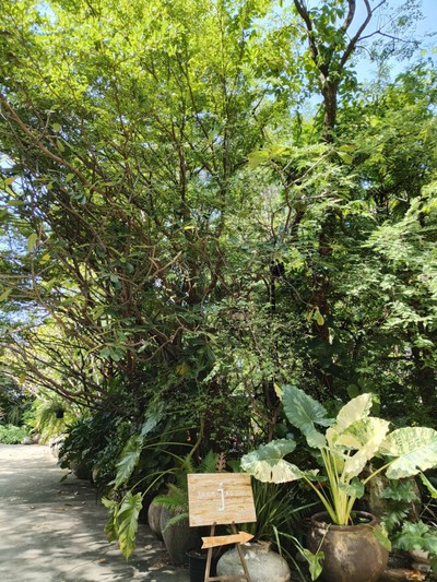 หน้าร้าน