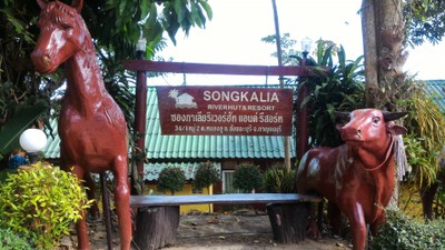 บริเวณโดยรอบ