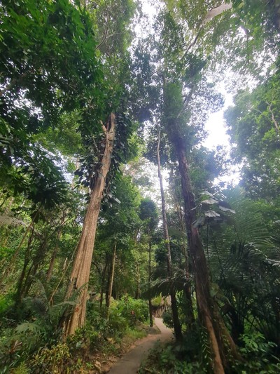 บรรยากาศ