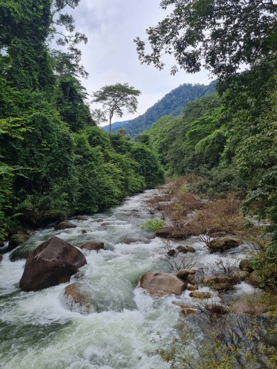 บรรยากาศ