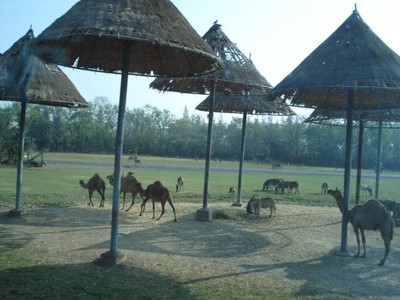 บรรยากาศ