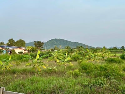 วิวนอกห้อง