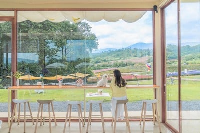 บรรยากาศ Floryday Khaoyai : Cafe & Flower