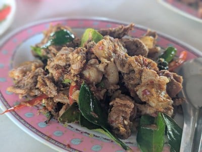 ผัดเผ็ดหมูป่า