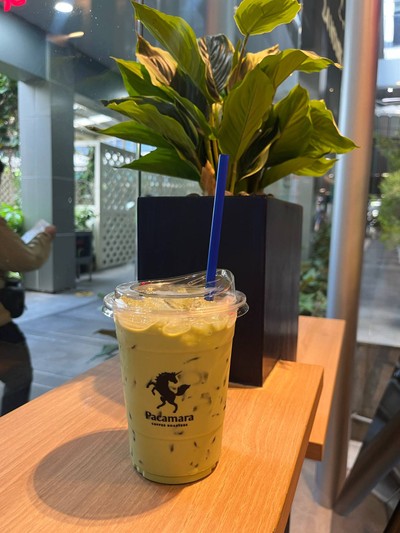 Iced Japanese Matcha Latte
