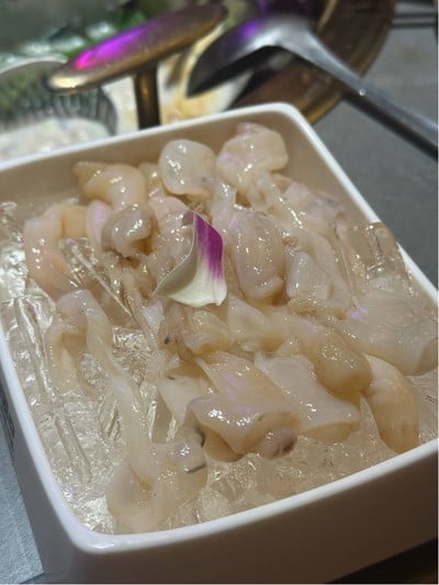 หอยสด
