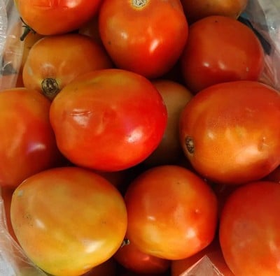 นายตุ้ยผักสด กังสดาล