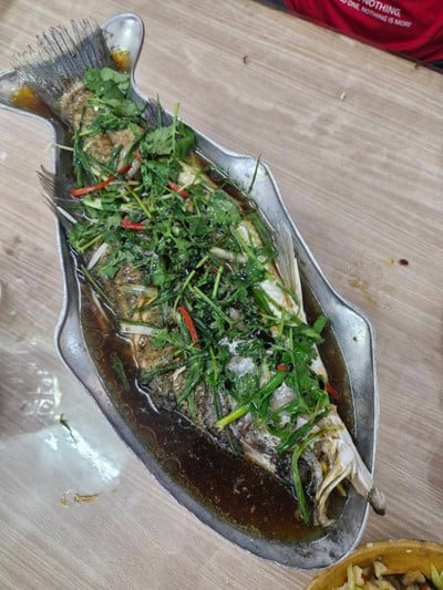 ปลากระพงนึ่งซีอิ๊ว
