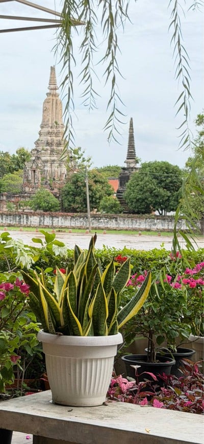 🌇 บรรยากาศร้าน.