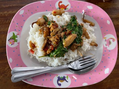 ข้าวกะเพราปู