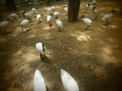 บรรยากาศ