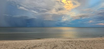 สระว่ายน้ำ/ชายหาด