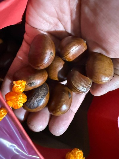 เก๋าลัด