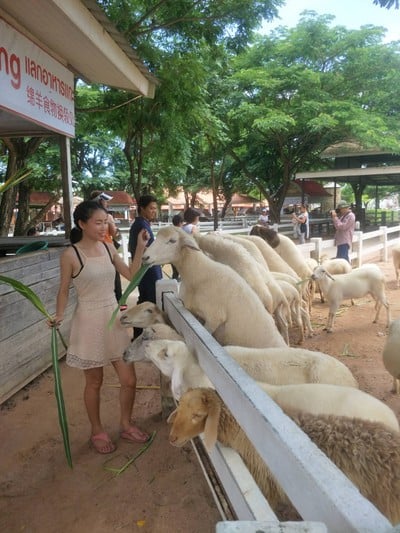 บรรยากาศ