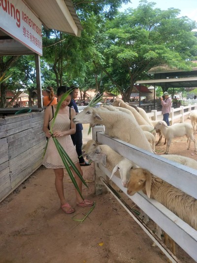 บรรยากาศ