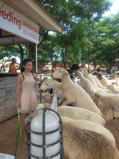 บรรยากาศ